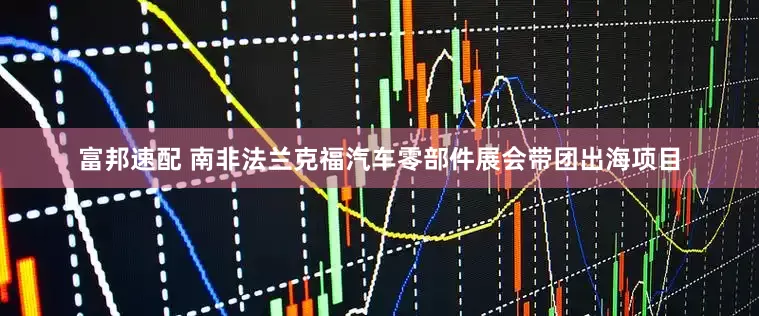 富邦速配 南非法兰克福汽车零部件展会带团出海项目