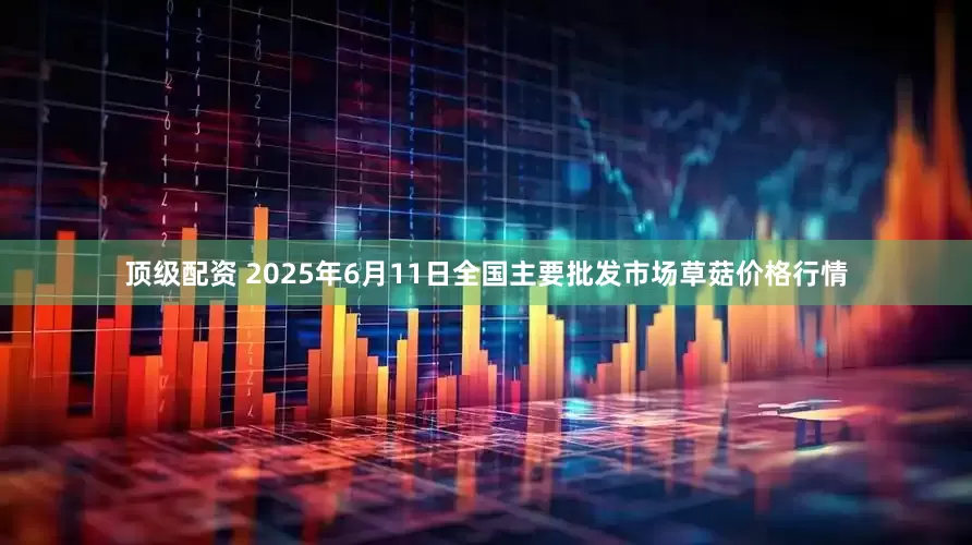 顶级配资 2025年6月11日全国主要批发市场草菇价格行情